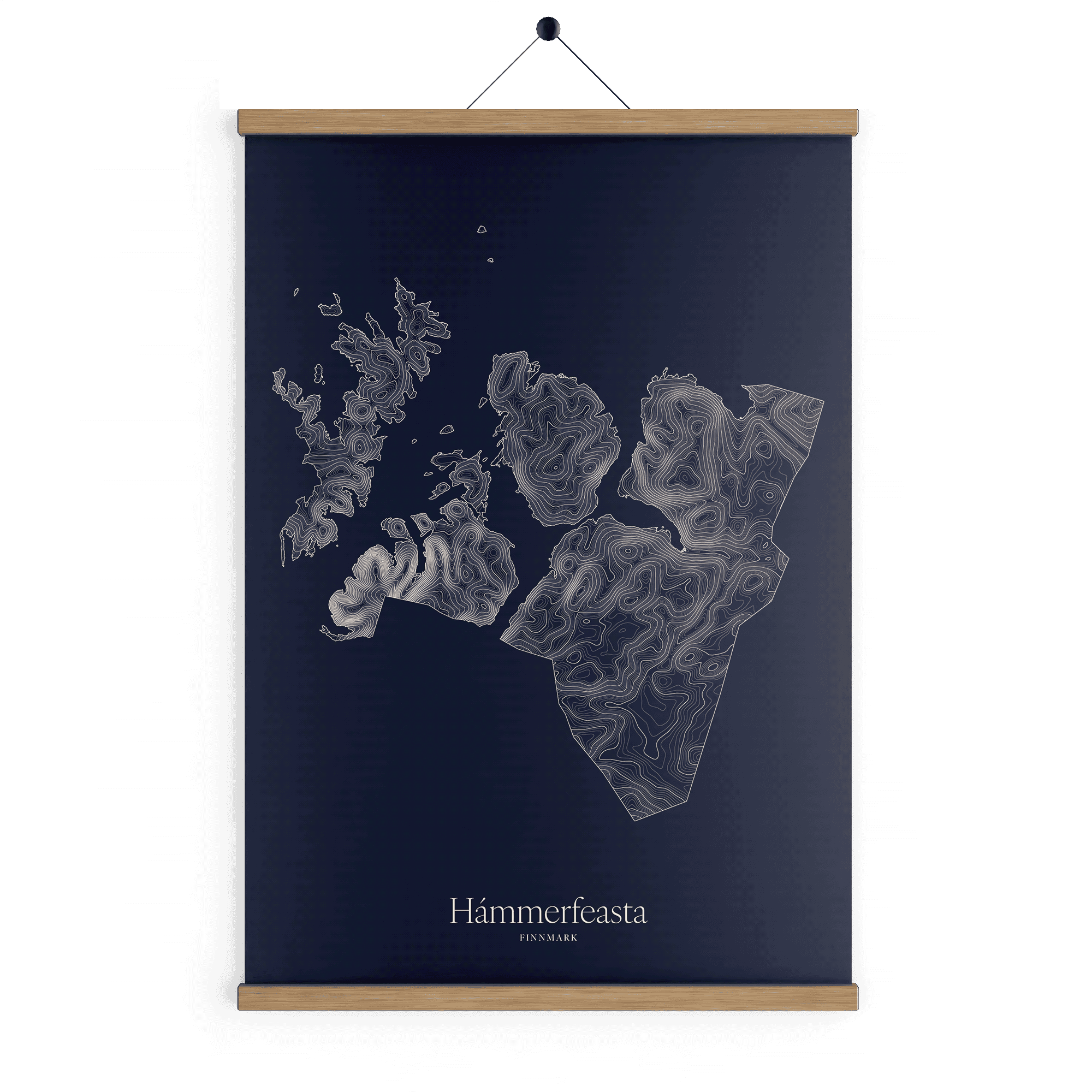 Hámmerfeasta kotekart - Vinternatt