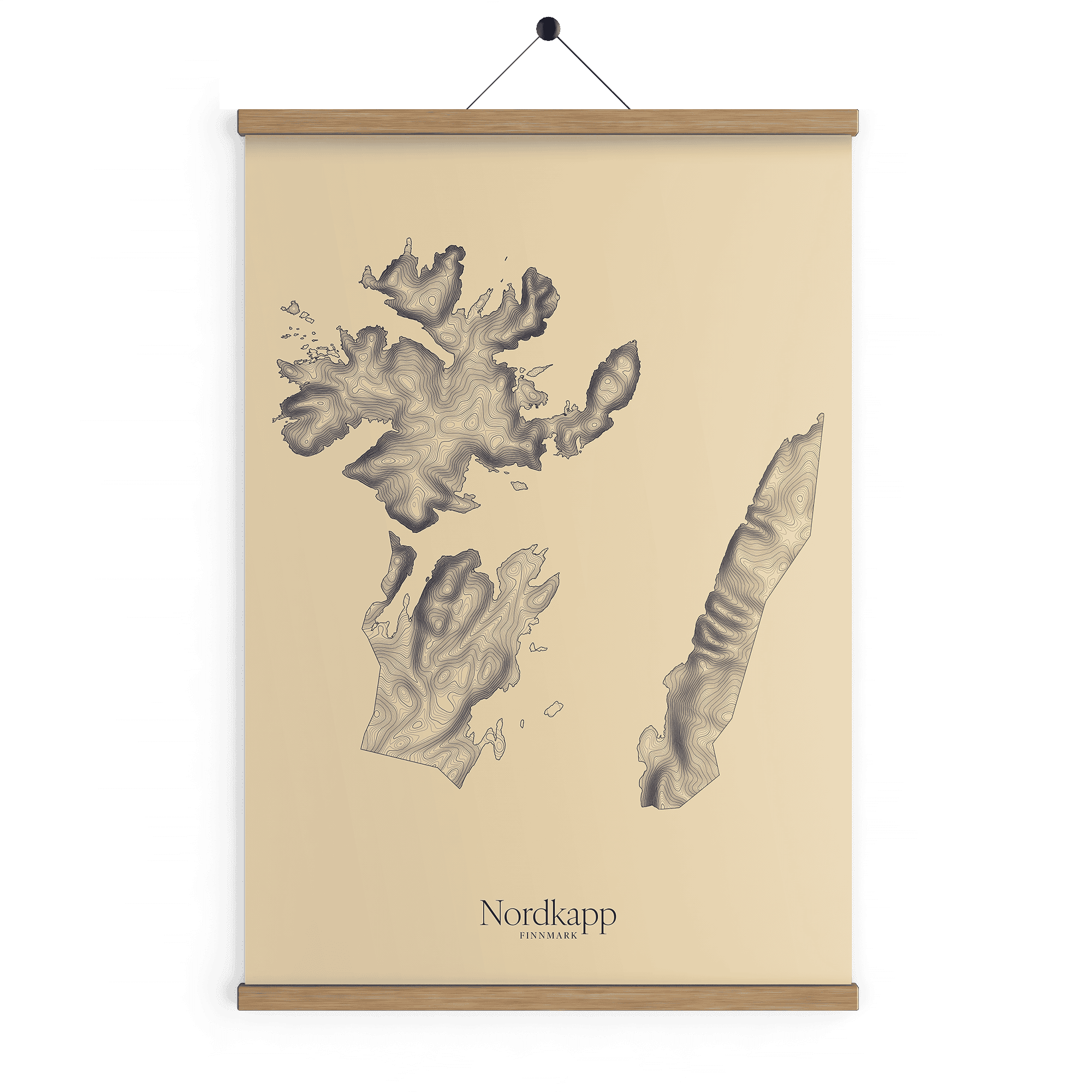 Nordkapp kotekart - Sandstein