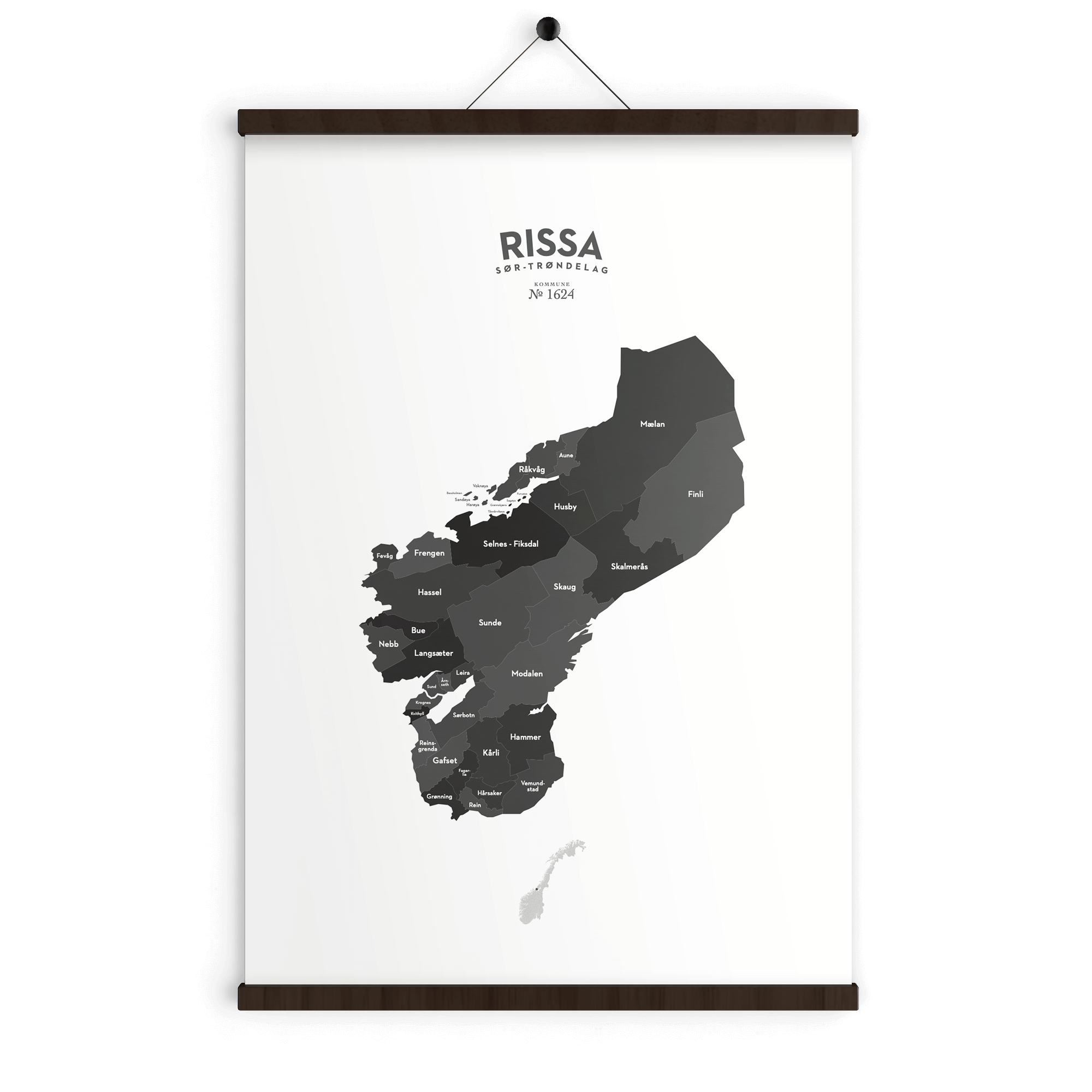 Rissa