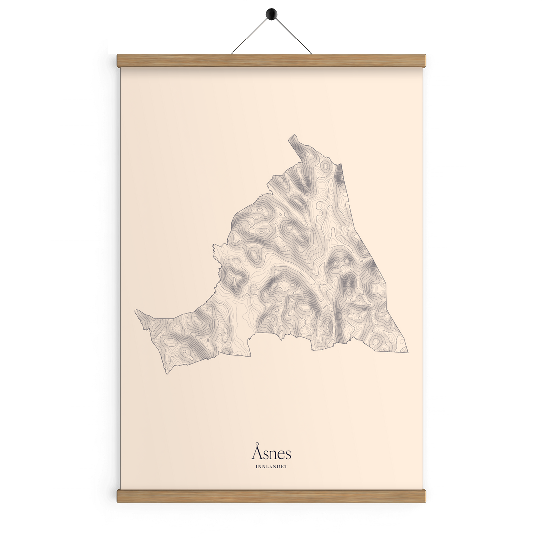 Åsnes