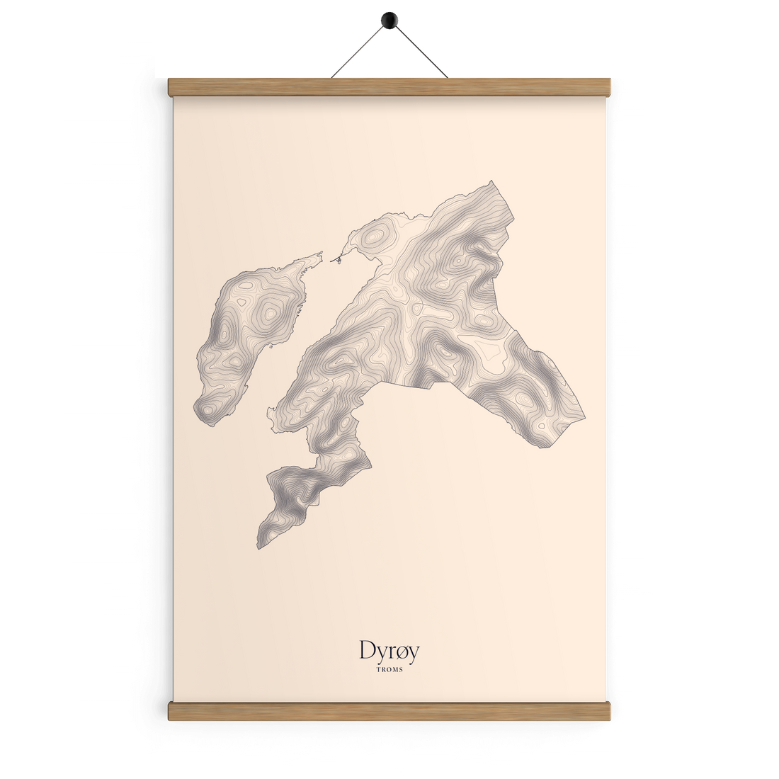 Dyrøy