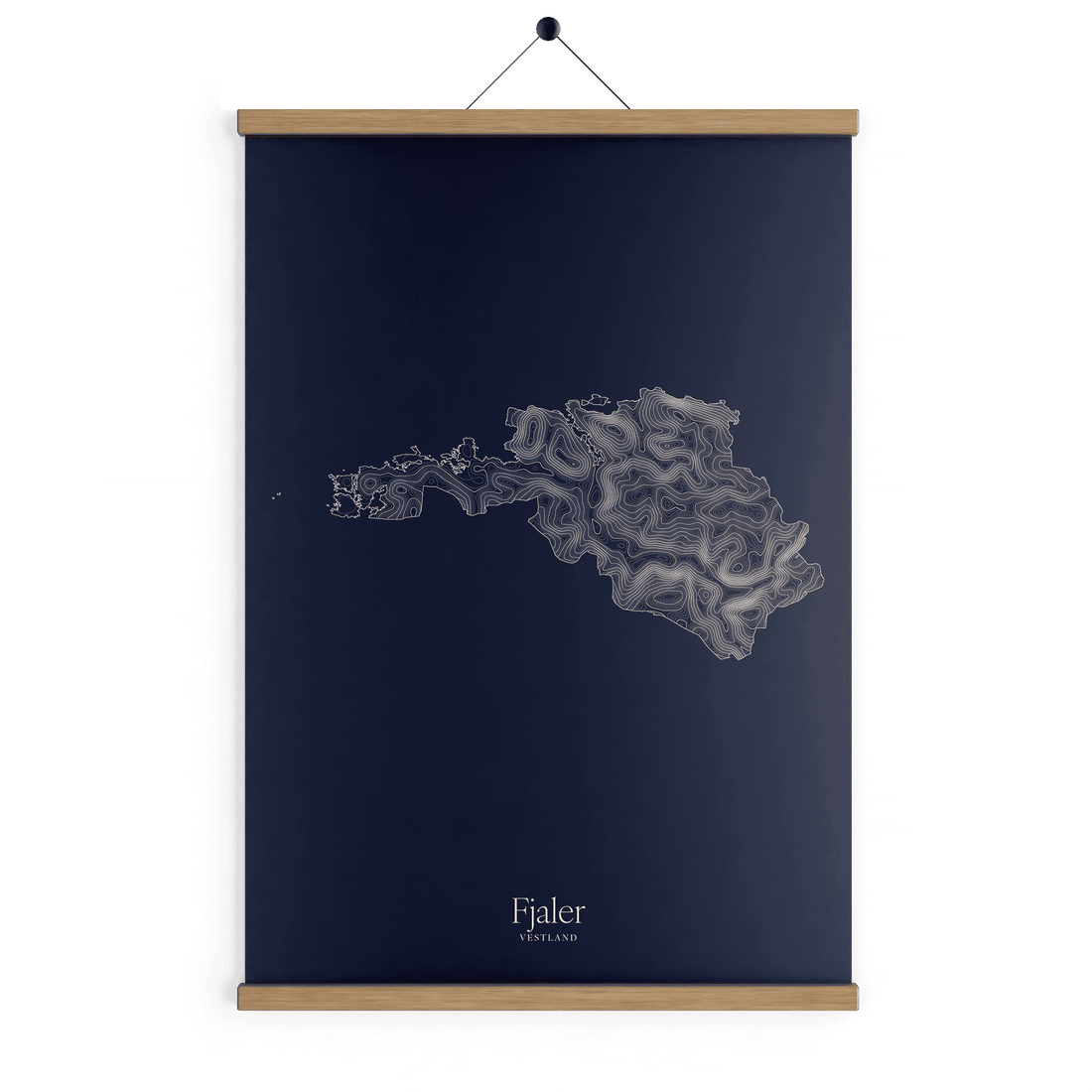 Fjaler kotekart - Vinternatt