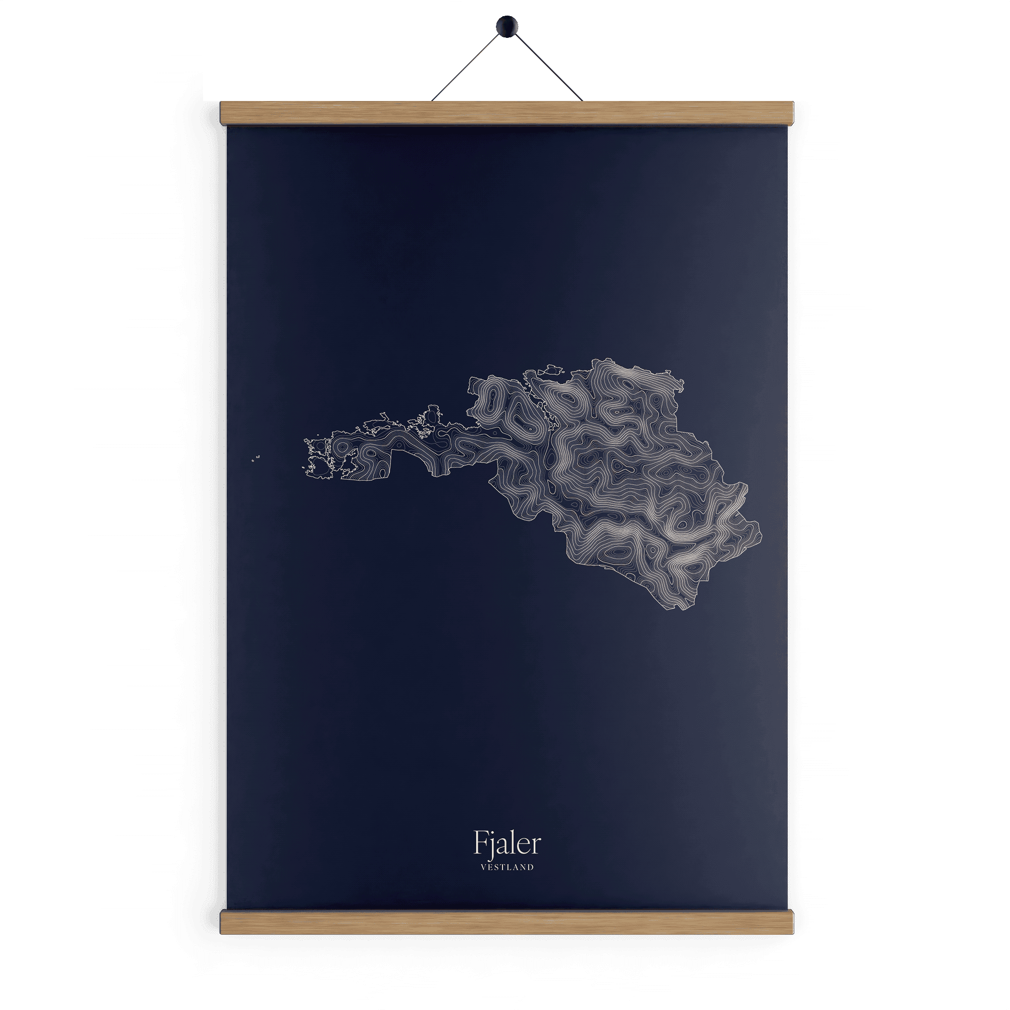 Fjaler kotekart - Vinternatt