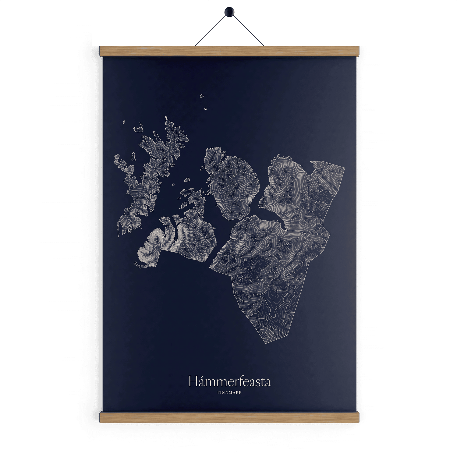 Hámmerfeasta kotekart - Vinternatt