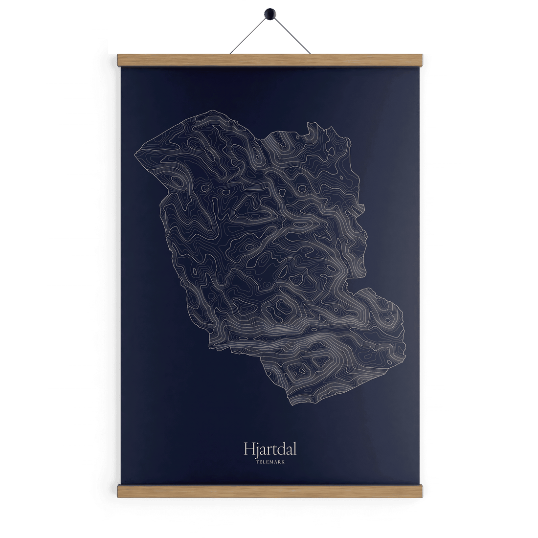 Hjartdal kotekart - Vinternatt