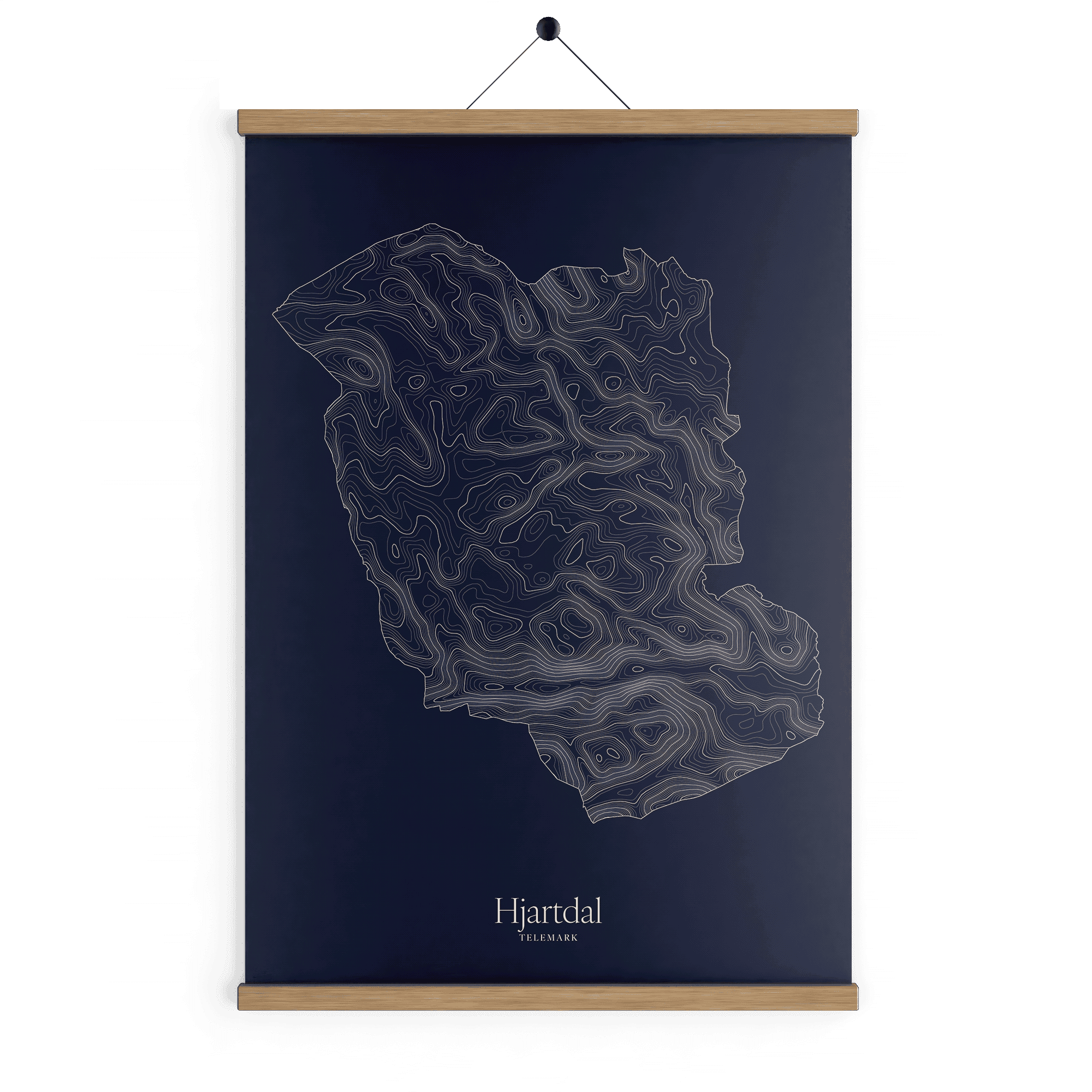 Hjartdal kotekart - Vinternatt