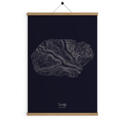 Lesja