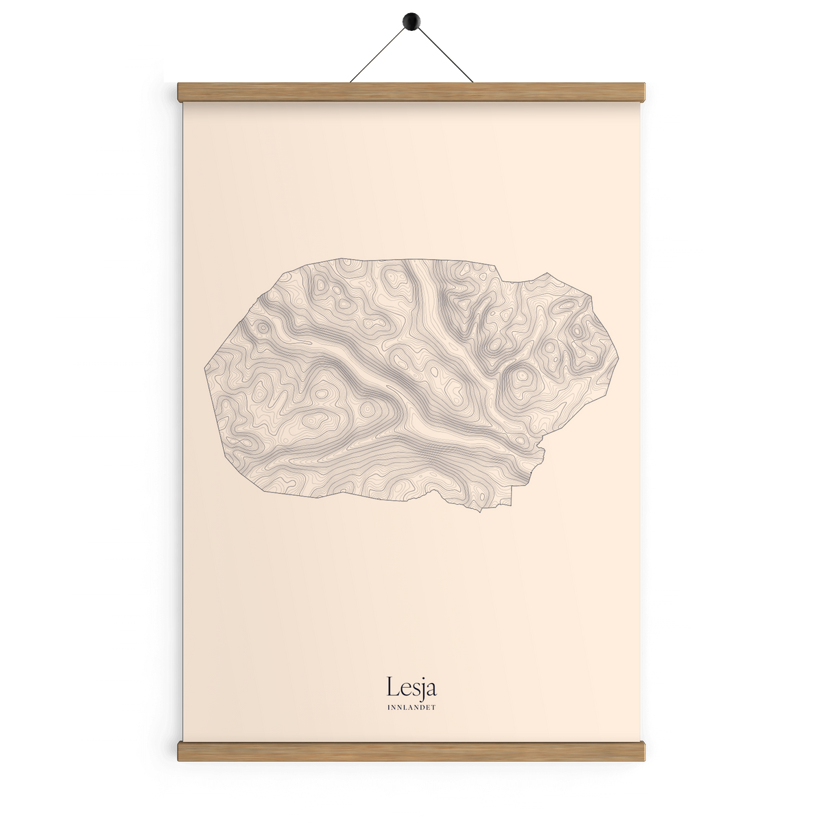 Lesja