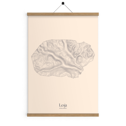 Lesja