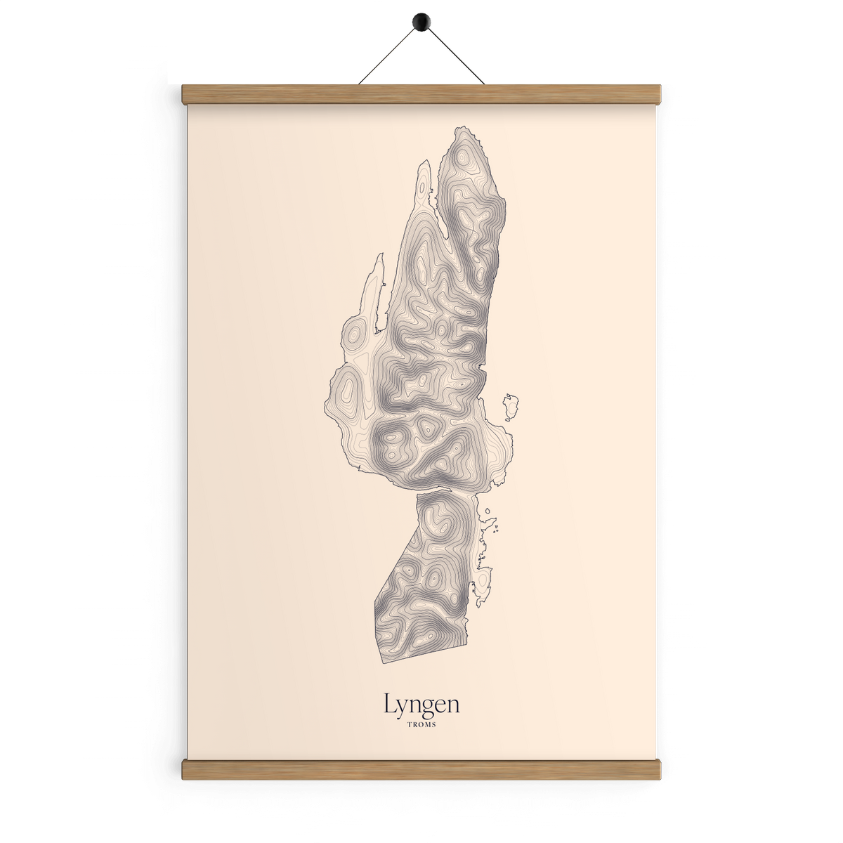 Lyngen