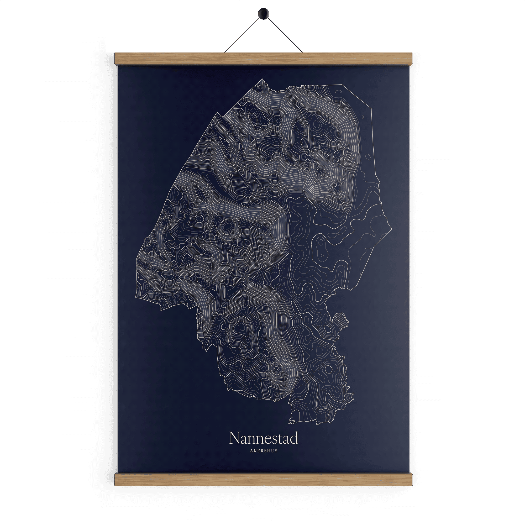Nannestad kotekart - Vinternatt