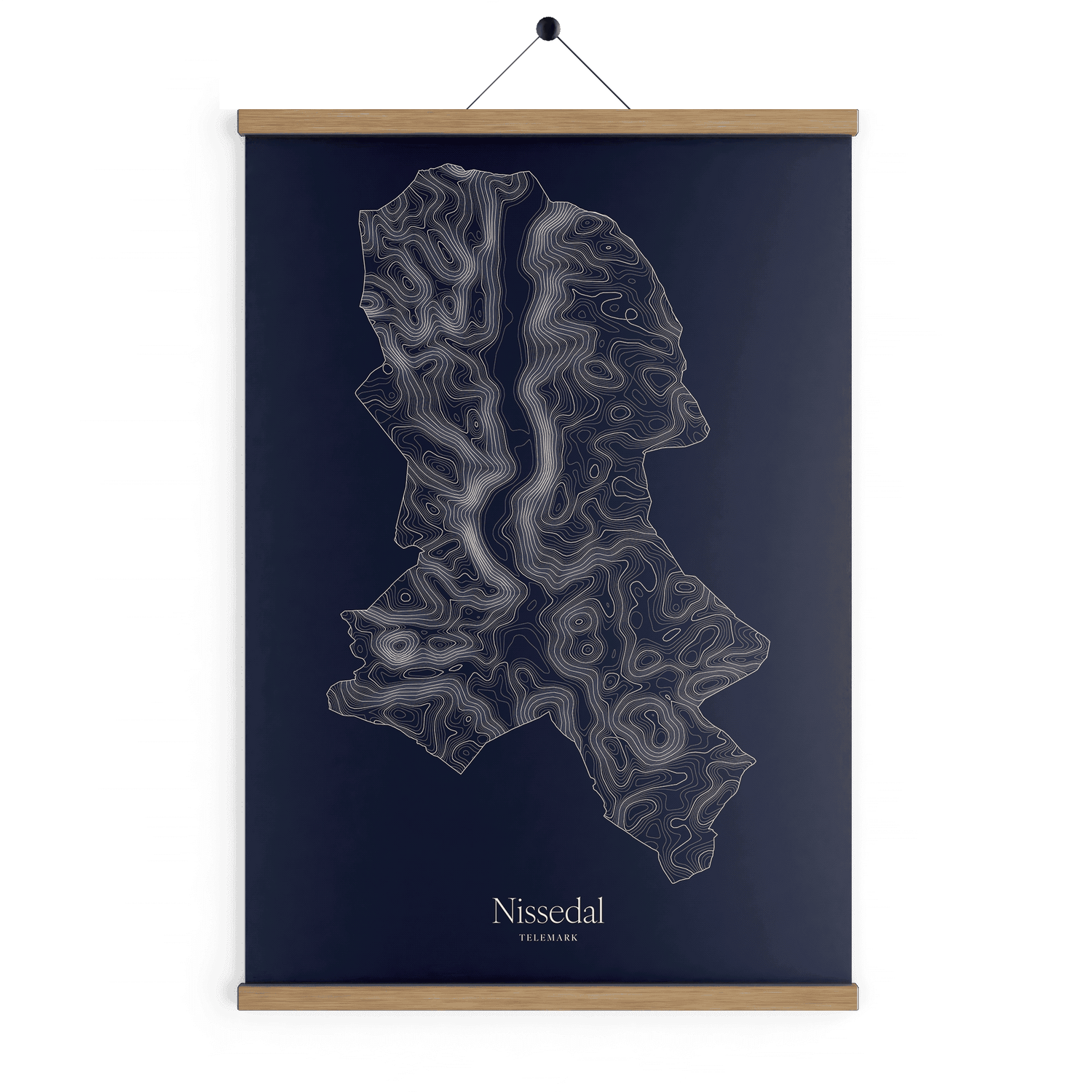 Nissedal kotekart - Vinternatt
