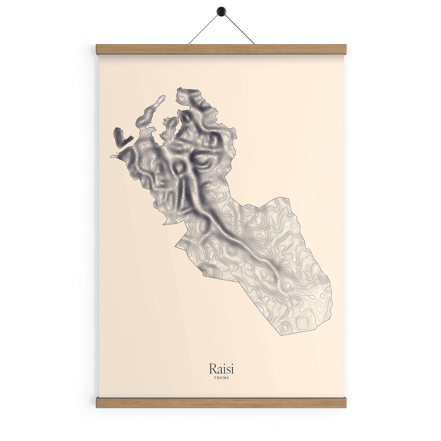 Raisi