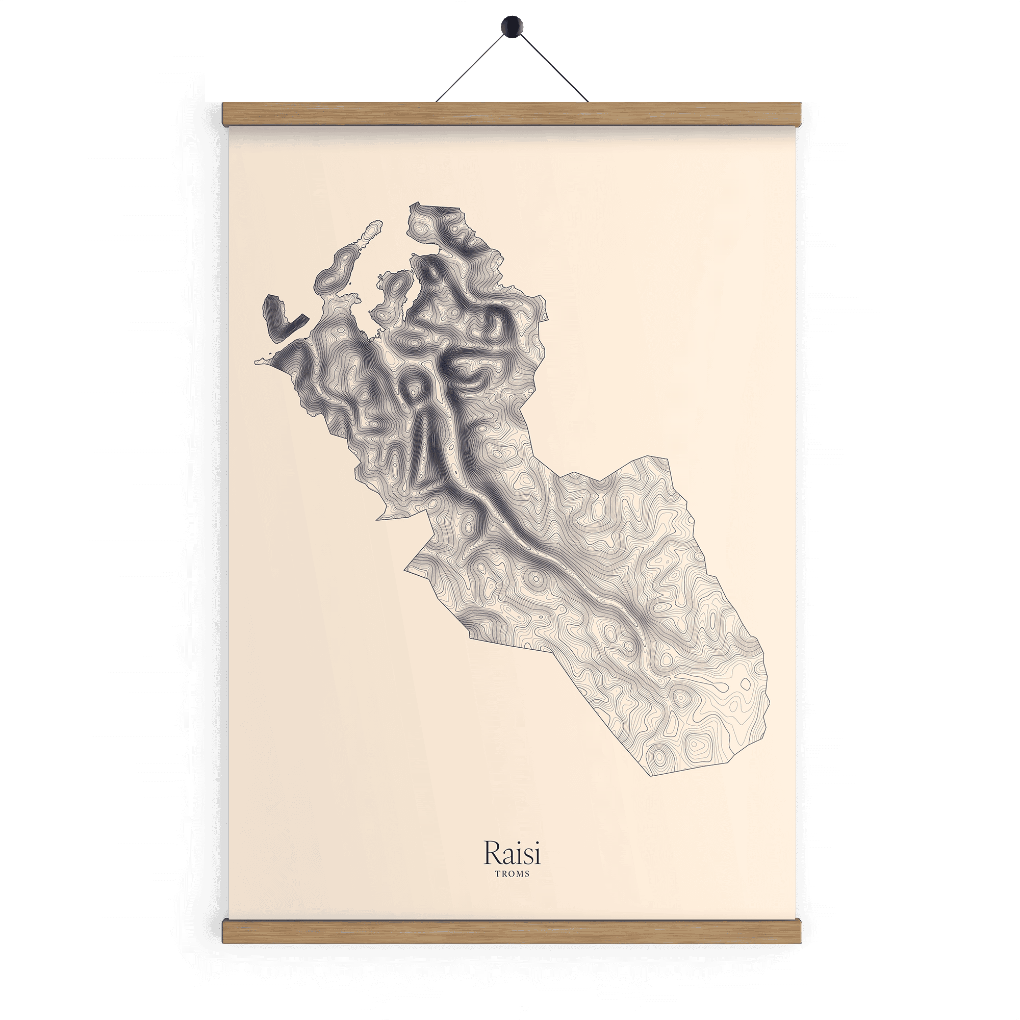 Raisi