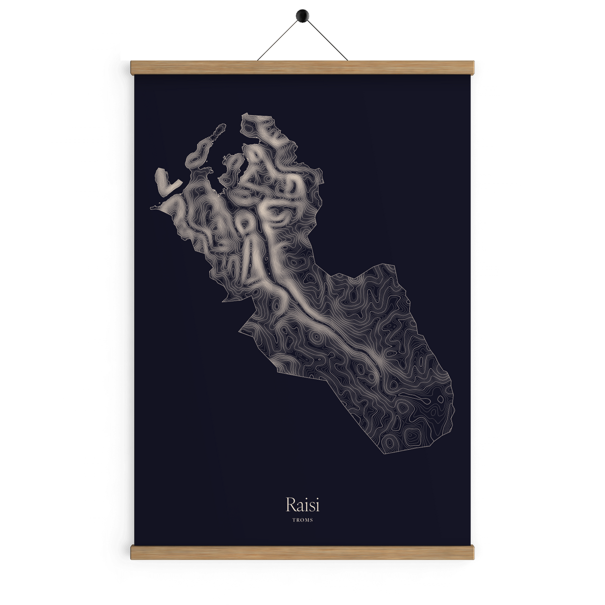 Raisi