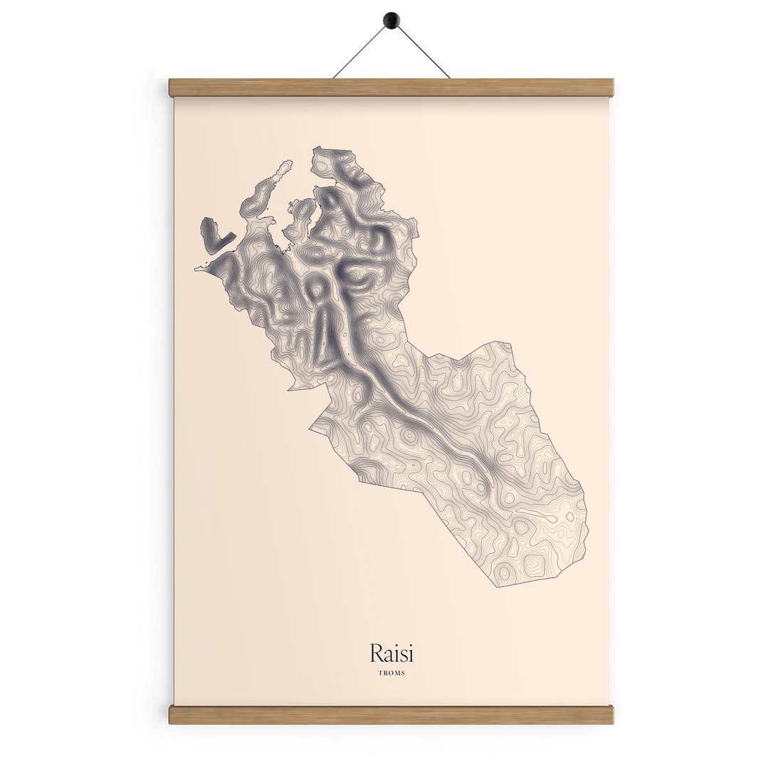 Raisi