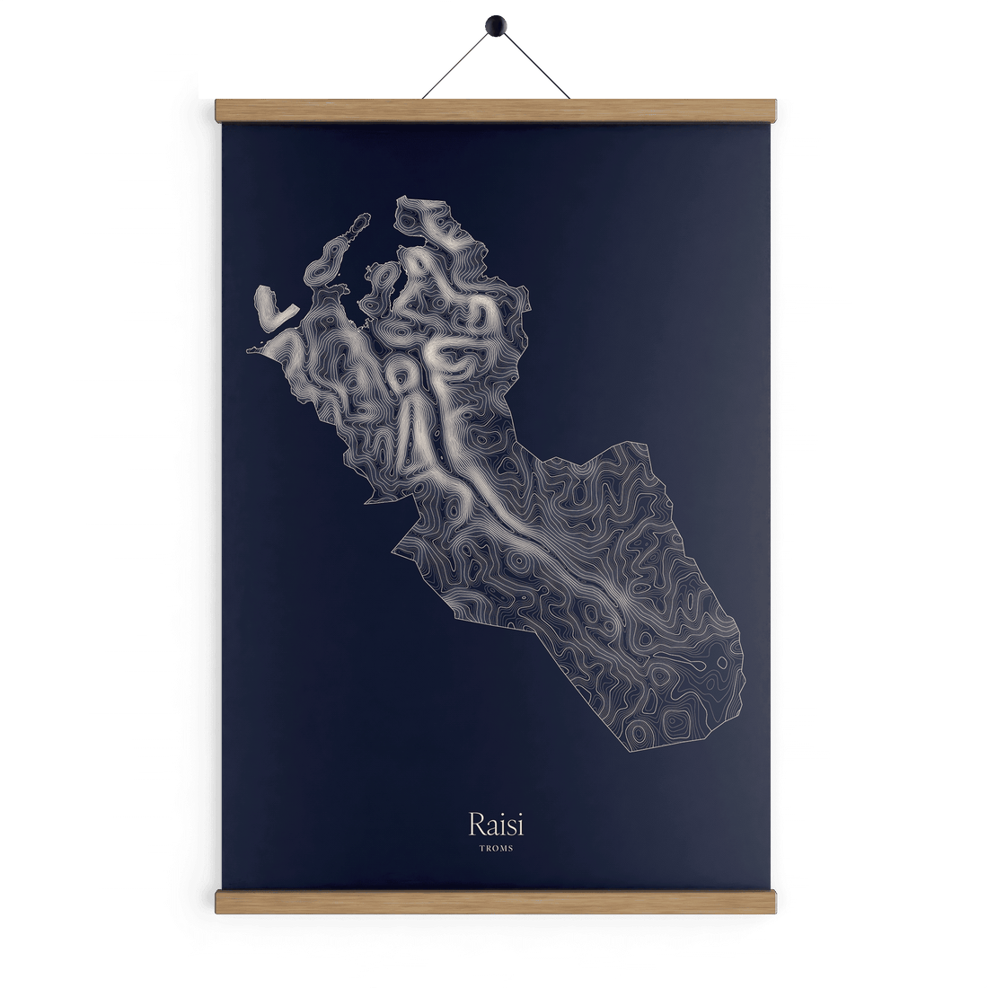 Raisi kotekart - Vinternatt