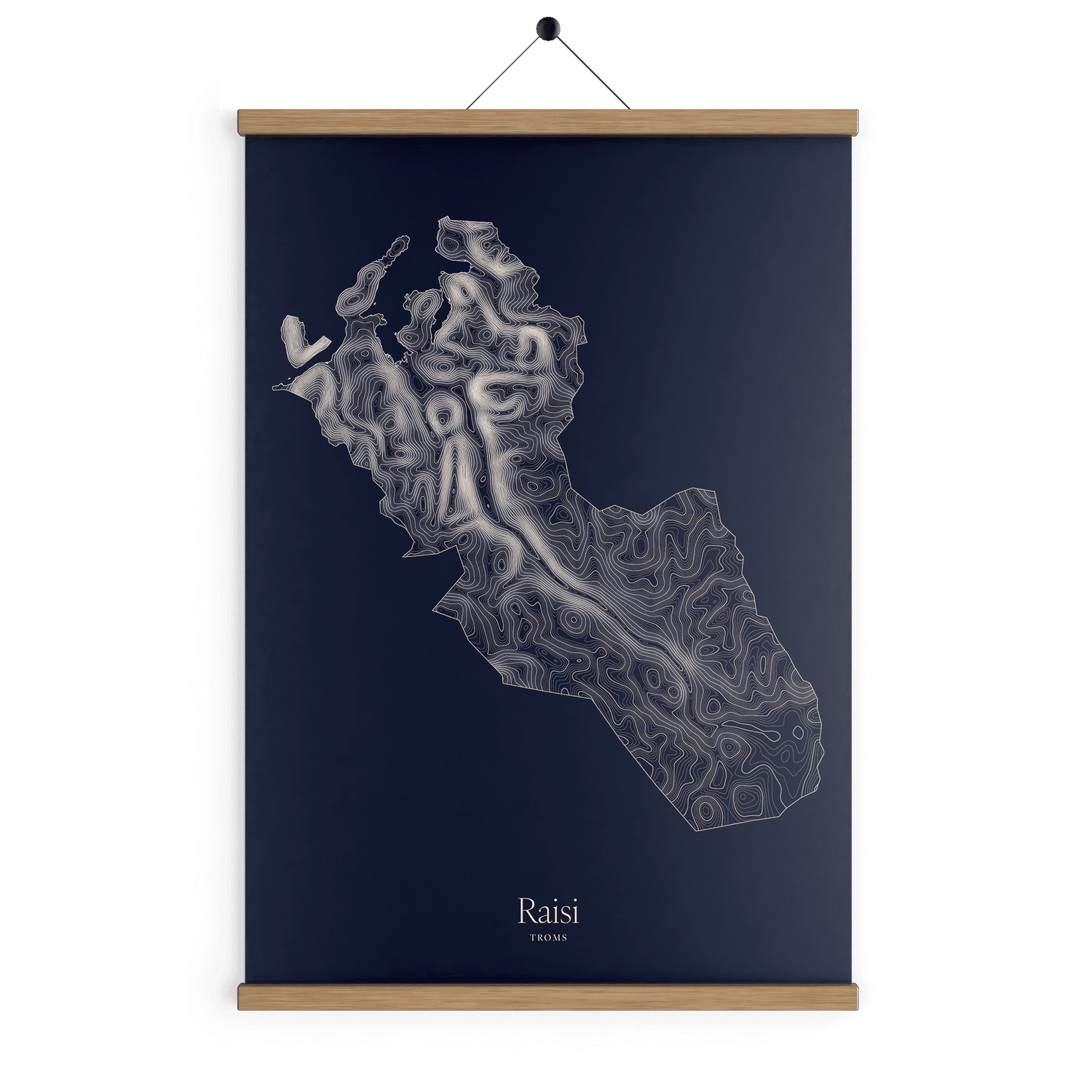Raisi kotekart - Vinternatt