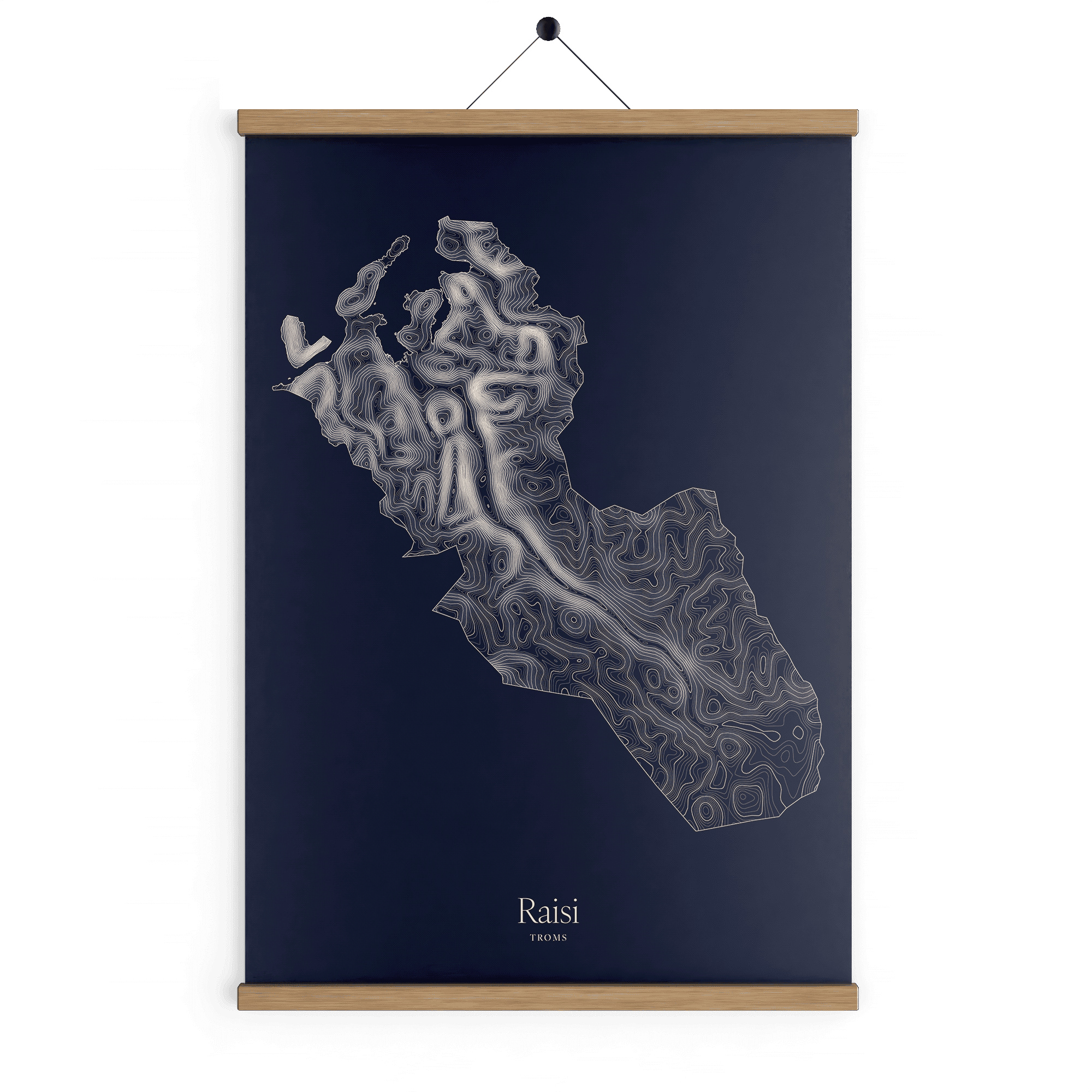 Raisi kotekart - Vinternatt