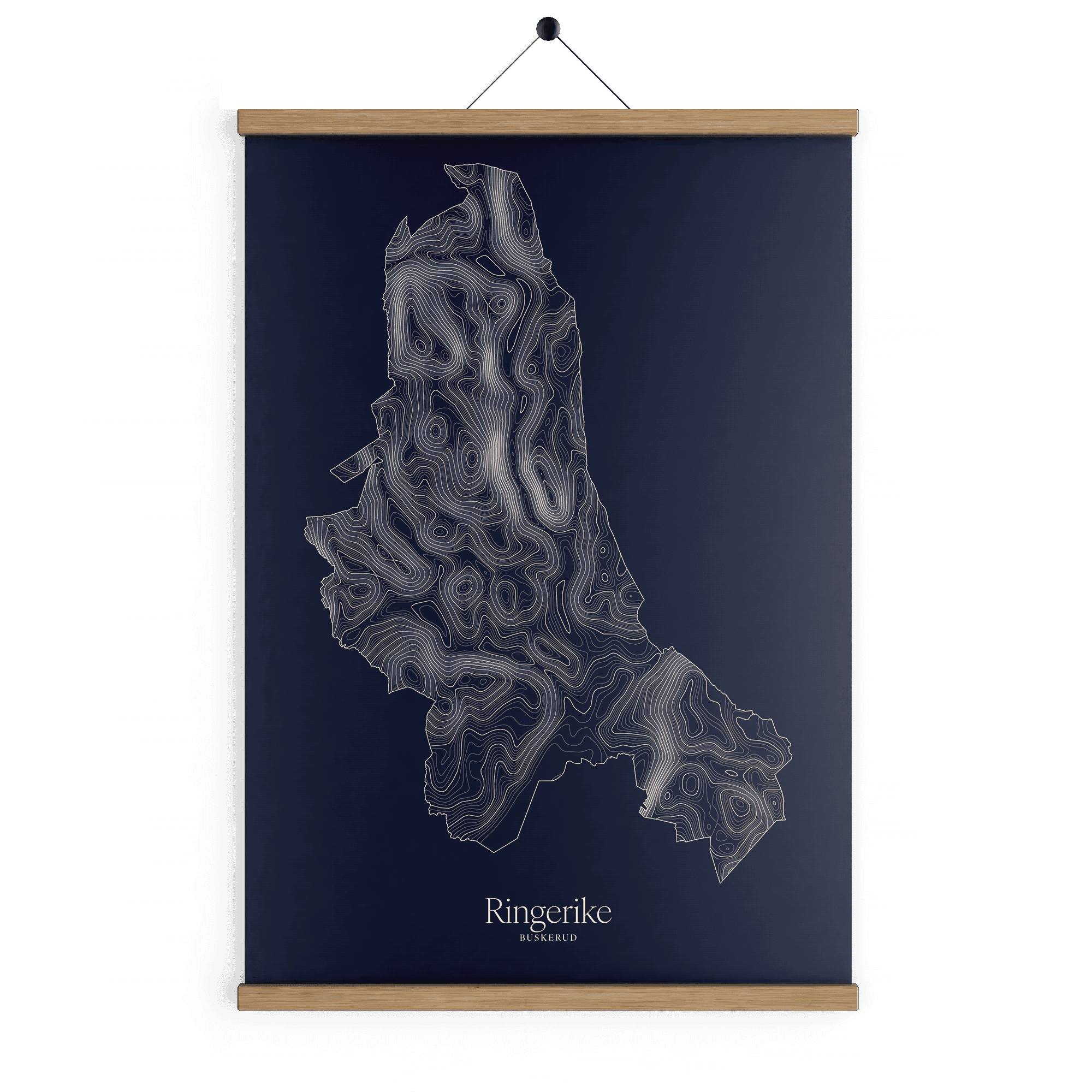 Ringerike kotekart - Vinternatt