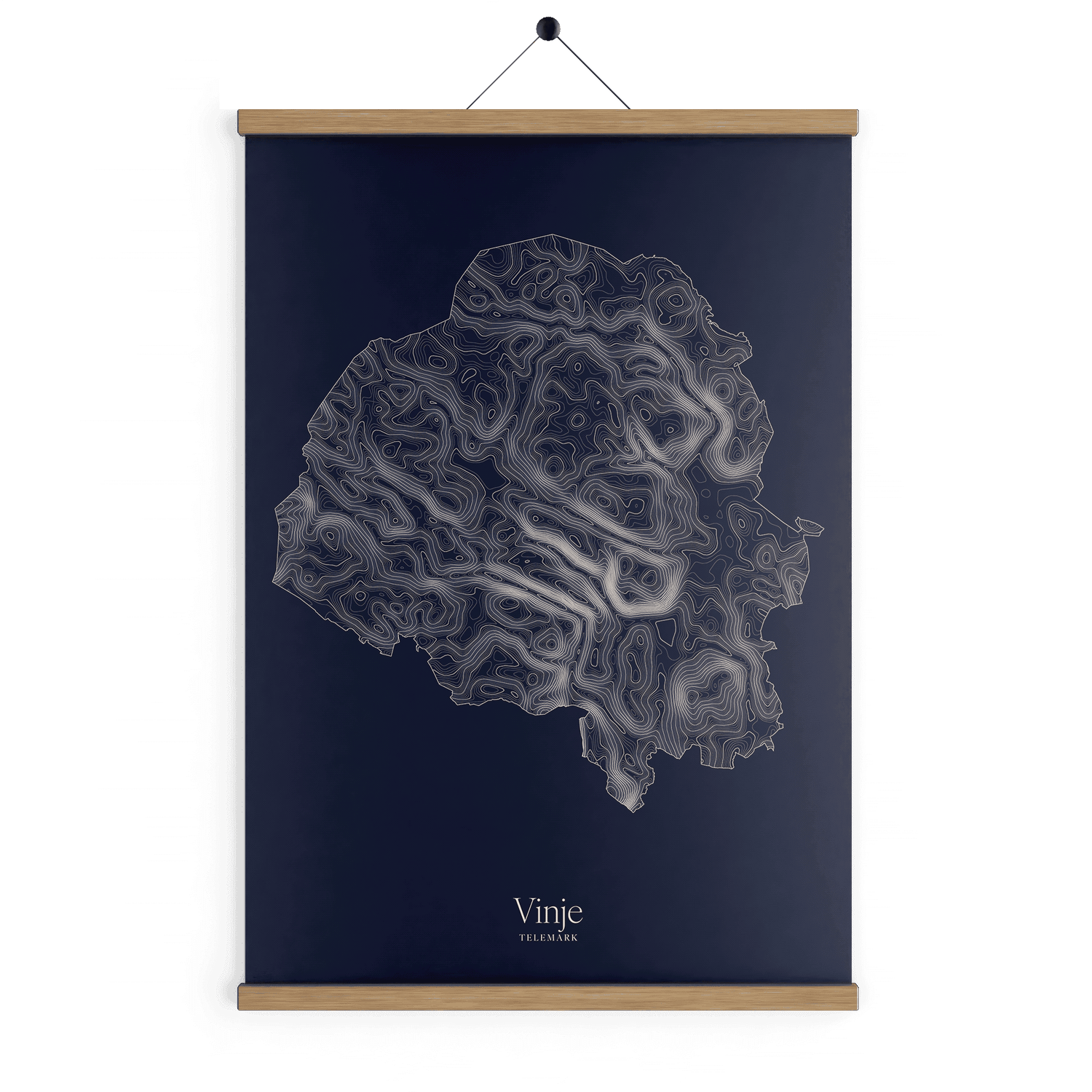 Vinje kotekart - Vinternatt