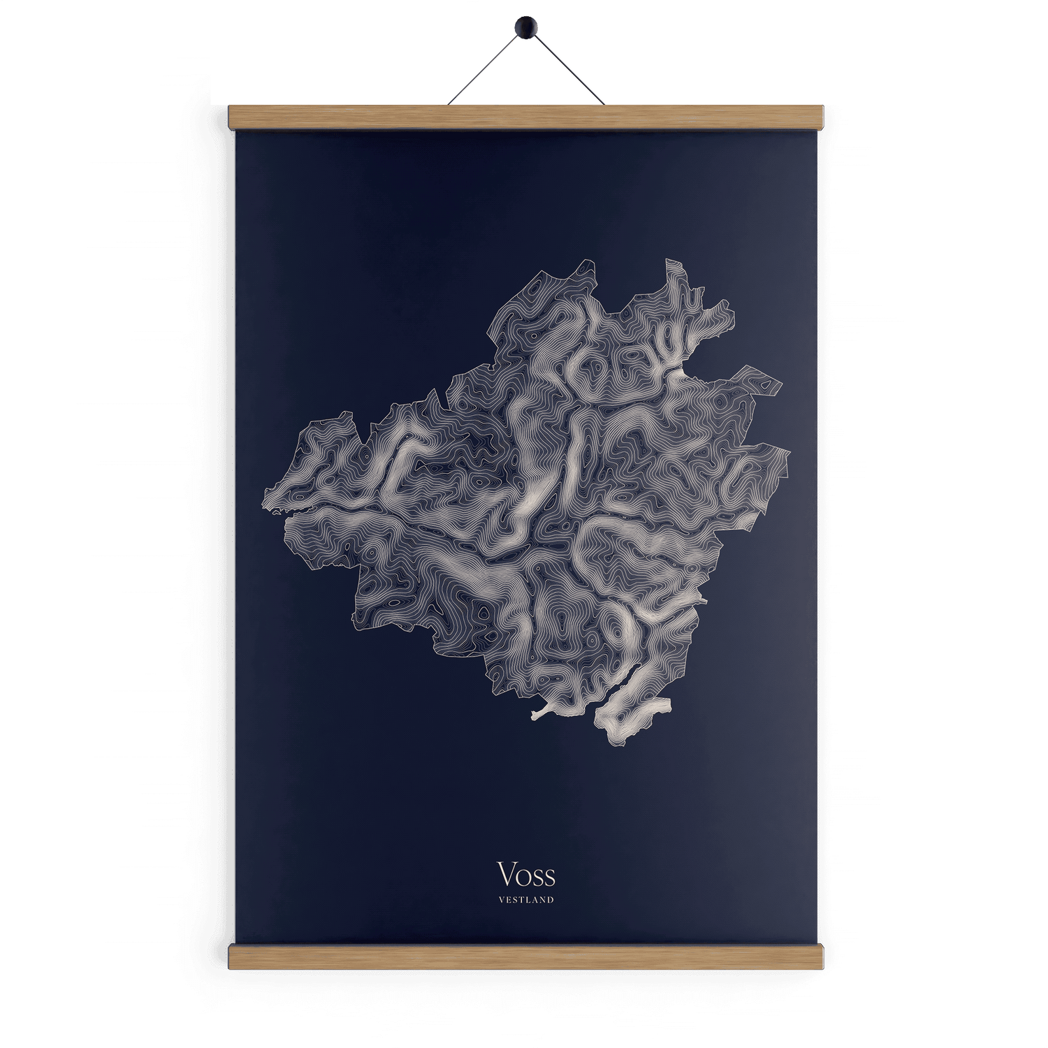 Voss kotekart - Vinternatt
